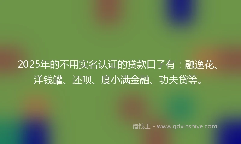 2025年的不用实名认证的贷款口子有：融逸花、洋钱罐、还呗、度小满金融、功夫贷等。