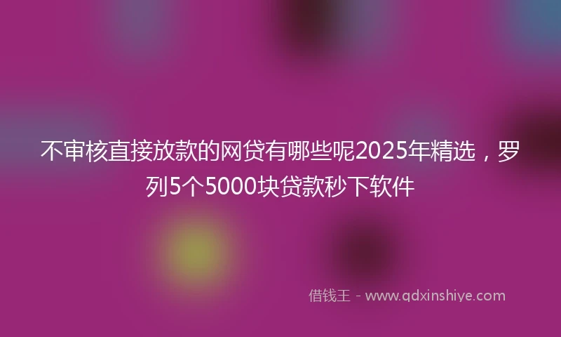 不审核直接放款的网贷有哪些呢2025年精选，罗列5个5000块贷款秒下软件