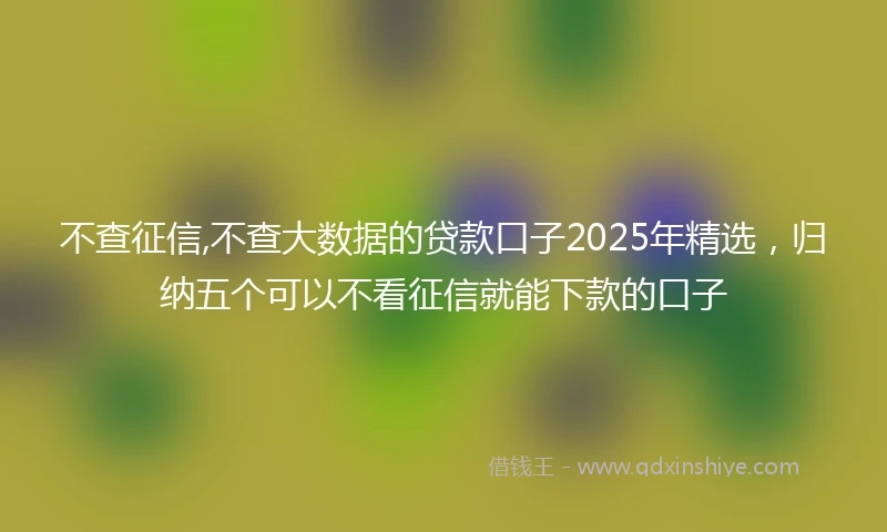 不查征信,不查大数据的贷款口子2025年精选，归纳五个可以不看征信就能下款的口子