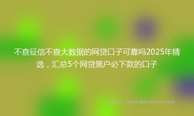 不查征信不查大数据的网贷口子可靠吗2025年精选，汇总5个网贷黑户必下款的口子