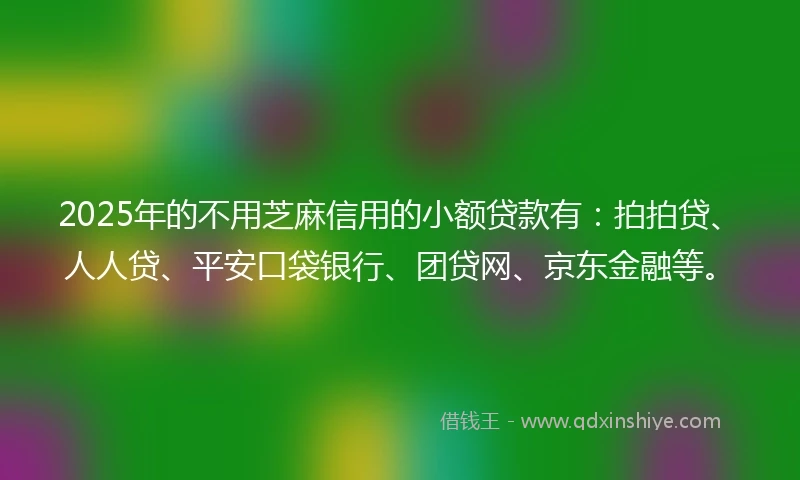 2025年的不用芝麻信用的小额贷款有：拍拍贷、人人贷、平安口袋银行、团贷网、京东金融等。
