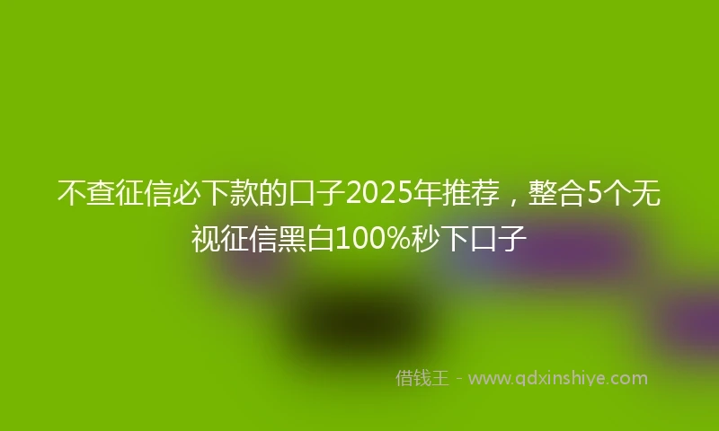 不查征信必下款的口子2025年推荐，整合5个无视征信黑白100%秒下口子