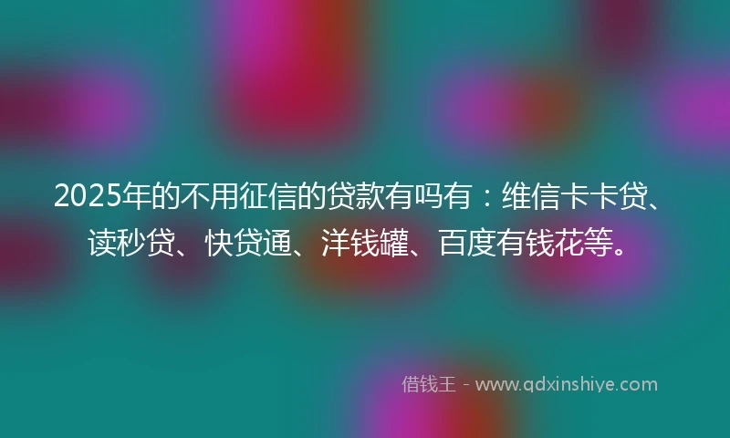2025年的不用征信的贷款有吗有：维信卡卡贷、读秒贷、快贷通、洋钱罐、百度有钱花等。