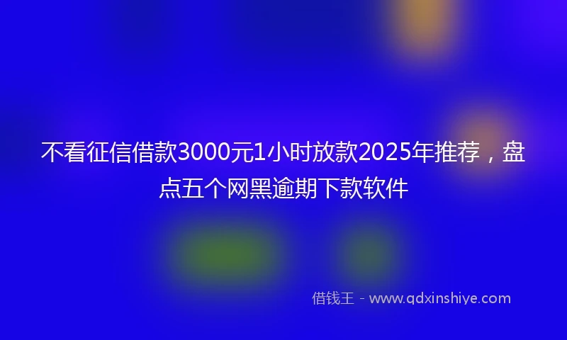 不看征信借款3000元1小时放款2025年推荐，盘点五个网黑逾期下款软件