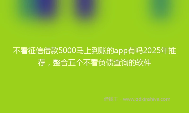 不看征信借款5000马上到账的app有吗2025年推荐，整合五个不看负债查询的软件