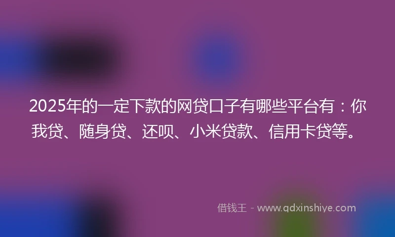 2025年的一定下款的网贷口子有哪些平台有：你我贷、随身贷、还呗、小米贷款、信用卡贷等。