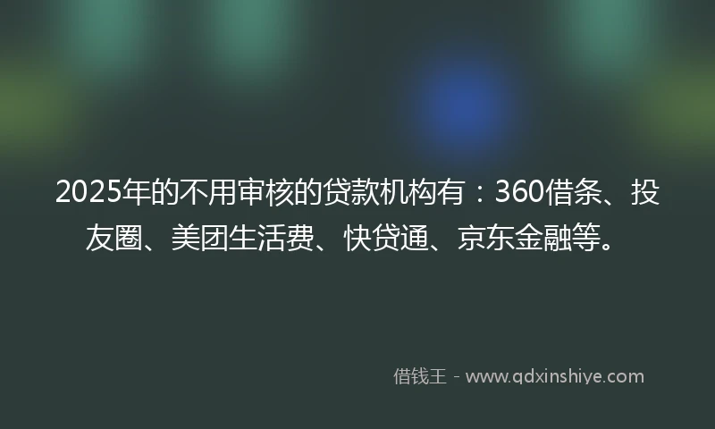 2025年的不用审核的贷款机构有：360借条、投友圈、美团生活费、快贷通、京东金融等。