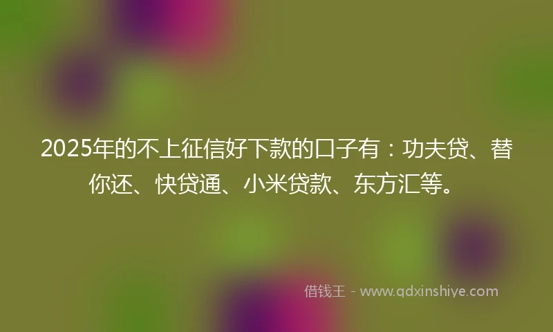 2025年的不上征信好下款的口子有：功夫贷、替你还、快贷通、小米贷款、东方汇等。
