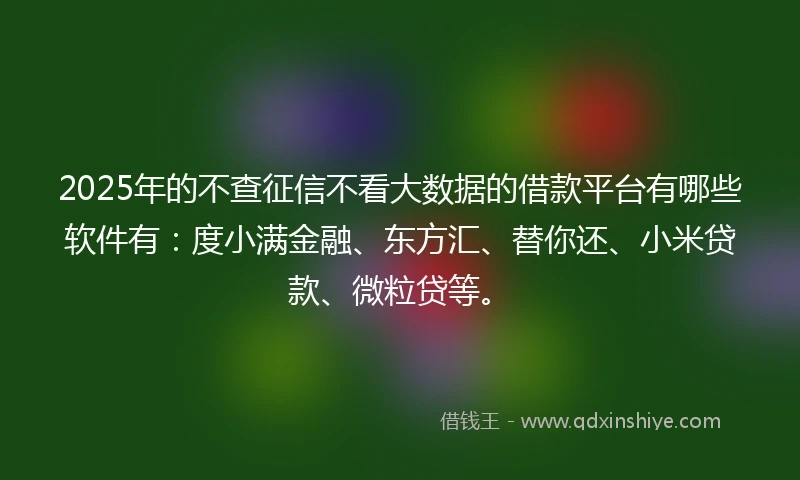 2025年的不查征信不看大数据的借款平台有哪些软件有：度小满金融、东方汇、替你还、小米贷款、微粒贷等。