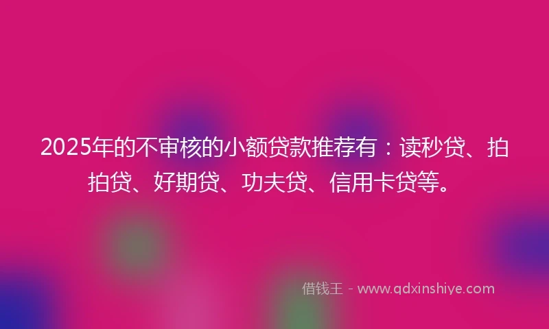 2025年的不审核的小额贷款推荐有：读秒贷、拍拍贷、好期贷、功夫贷、信用卡贷等。
