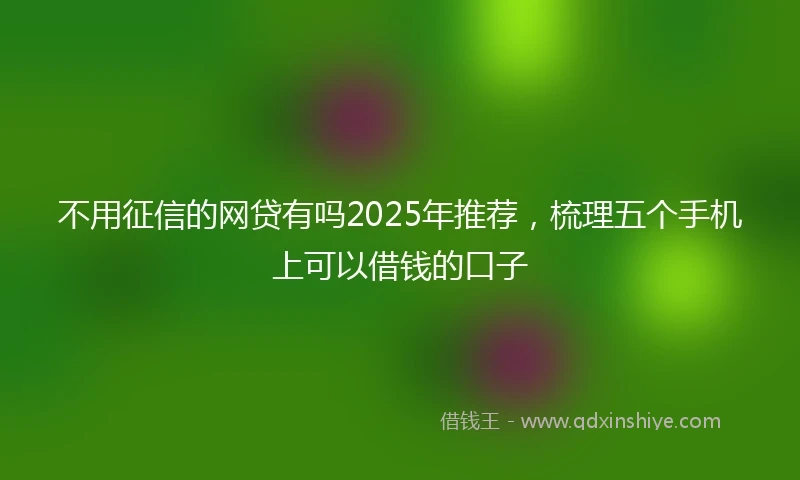 不用征信的网贷有吗2025年推荐，梳理五个手机上可以借钱的口子
