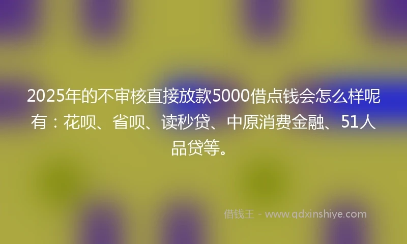 2025年的不审核直接放款5000借点钱会怎么样呢有:花呗、省呗、读秒贷、中原消费金融、51人品贷等。