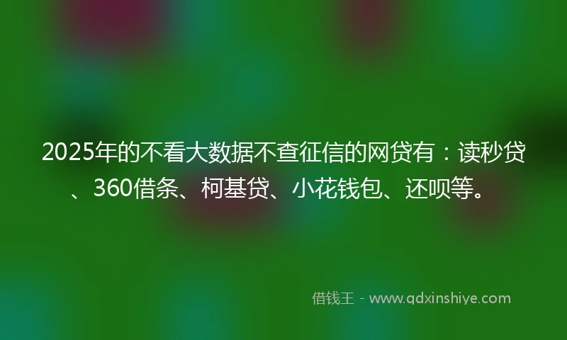 2025年的不看大数据不查征信的网贷有：读秒贷、360借条、柯基贷、小花钱包、还呗等。
