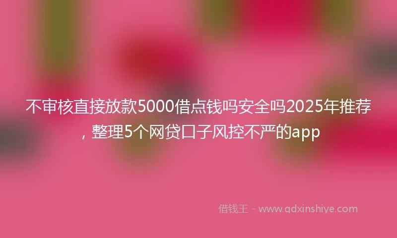 不审核直接放款5000借点钱吗安全吗2025年推荐，整理5个网贷口子风控不严的app