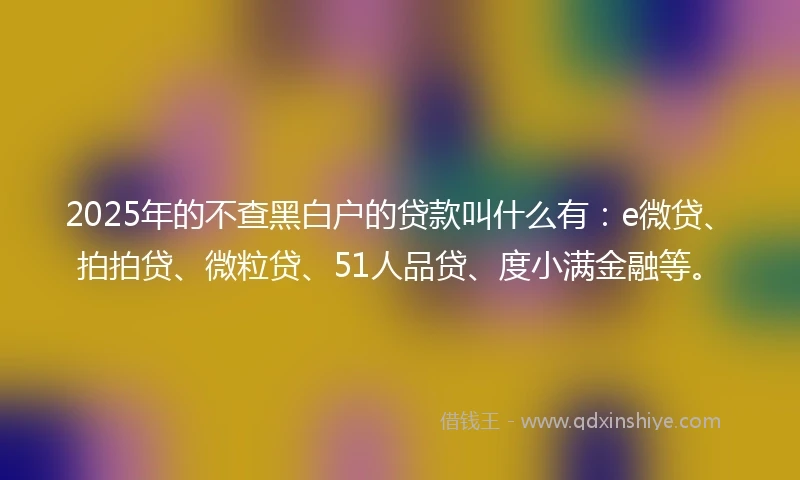 2025年的不查黑白户的贷款叫什么有：e微贷、拍拍贷、微粒贷、51人品贷、度小满金融等。
