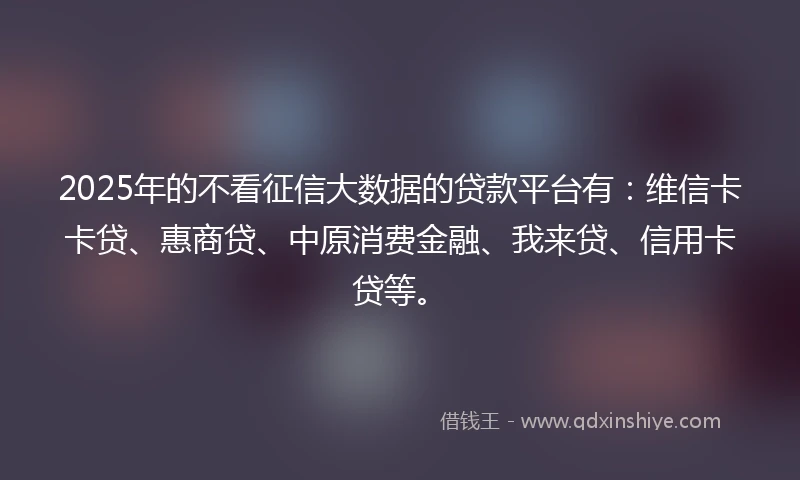 2025年的不看征信大数据的贷款平台有：维信卡卡贷、惠商贷、中原消费金融、我来贷、信用卡贷等。