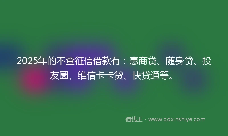 2025年的不查征信借款有：惠商贷、随身贷、投友圈、维信卡卡贷、快贷通等。