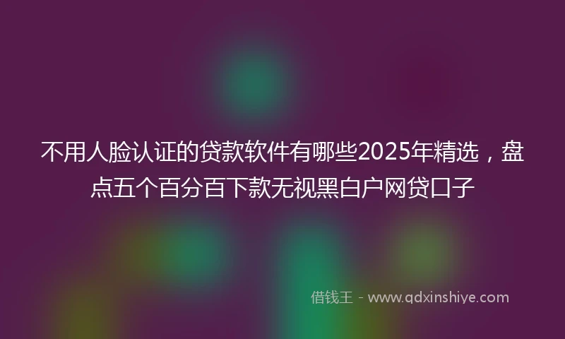 不用人脸认证的贷款软件有哪些2025年精选，盘点五个百分百下款无视黑白户网贷口子