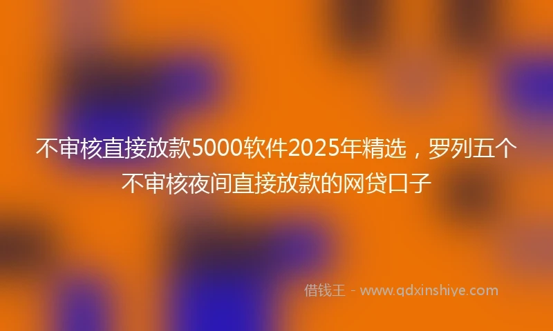 不审核直接放款5000软件2025年精选，罗列五个不审核夜间直接放款的网贷口子