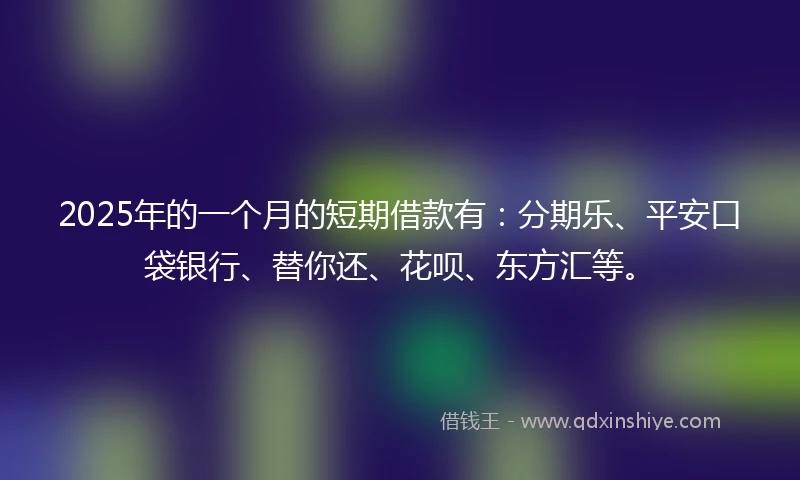 2025年的一个月的短期借款有：分期乐、平安口袋银行、替你还、花呗、东方汇等。