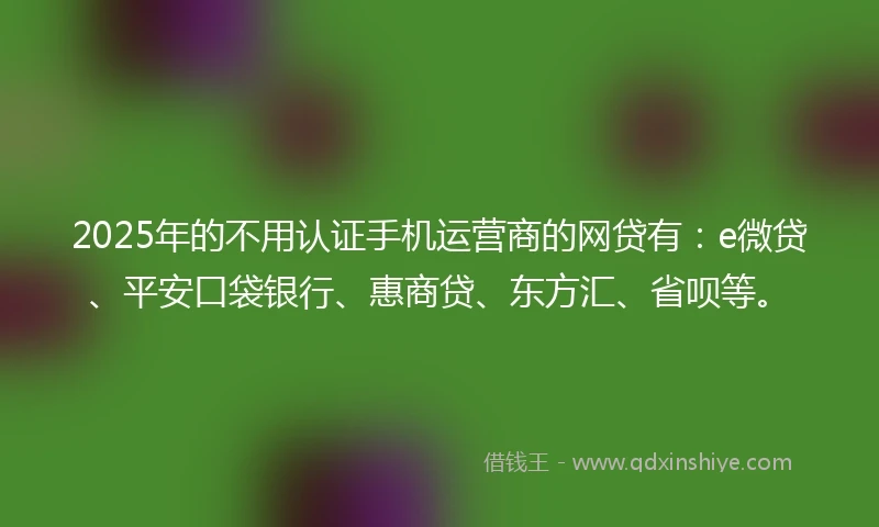 2025年的不用认证手机运营商的网贷有：e微贷、平安口袋银行、惠商贷、东方汇、省呗等。