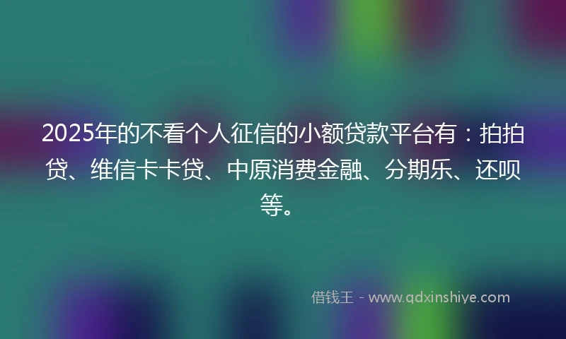2025年的不看个人征信的小额贷款平台有：拍拍贷、维信卡卡贷、中原消费金融、分期乐、还呗等。
