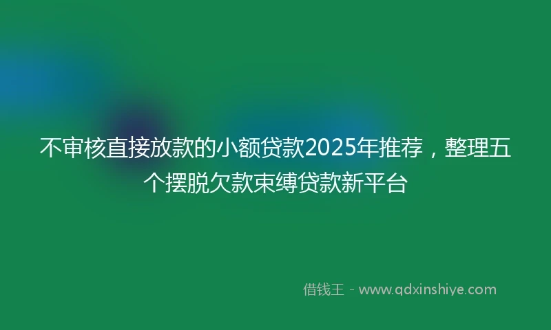 不审核直接放款的小额贷款2025年推荐，整理五个摆脱欠款束缚贷款新平台