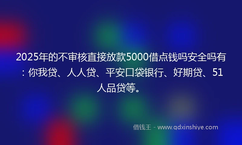 2025年的不审核直接放款5000借点钱吗安全吗有：你我贷、人人贷、平安口袋银行、好期贷、51人品贷等。