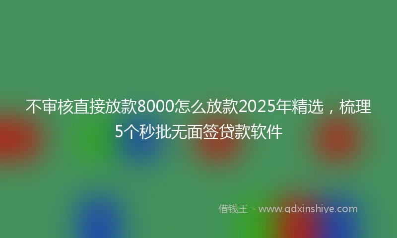 不审核直接放款8000怎么放款2025年精选，梳理5个秒批无面签贷款软件