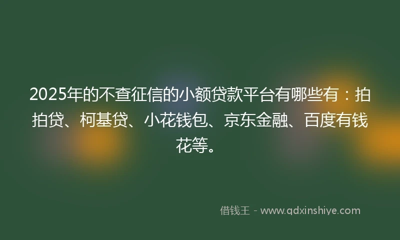 2025年的不查征信的小额贷款平台有哪些有：拍拍贷、柯基贷、小花钱包、京东金融、百度有钱花等。