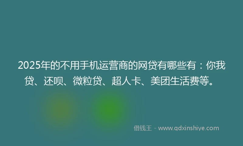 2025年的不用手机运营商的网贷有哪些有：你我贷、还呗、微粒贷、超人卡、美团生活费等。