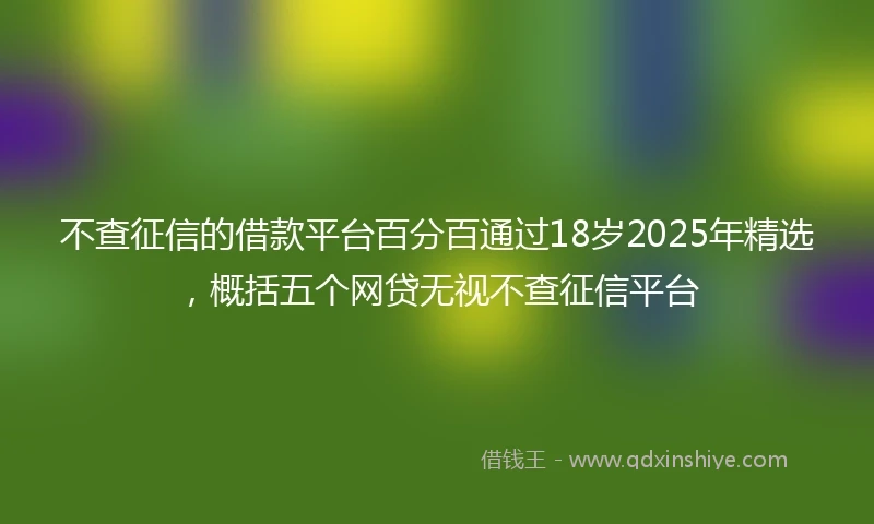 不查征信的借款平台百分百通过18岁2025年精选，概括五个网贷无视不查征信平台