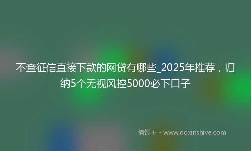 不查征信直接下款的网贷有哪些_2025年推荐，归纳5个无视风控5000必下口子