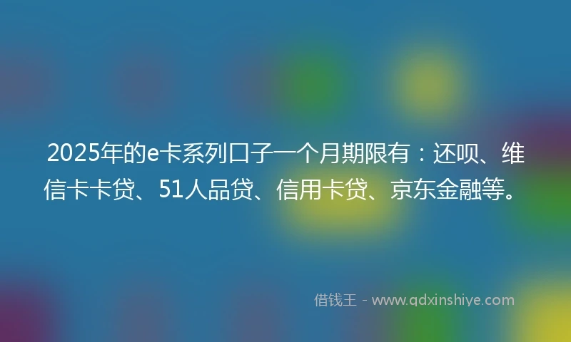 2025年的e卡系列口子一个月期限有：还呗、维信卡卡贷、51人品贷、信用卡贷、京东金融等。