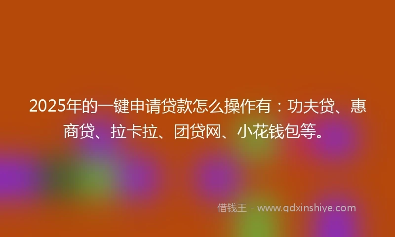 2025年的一键申请贷款怎么操作有：功夫贷、惠商贷、拉卡拉、团贷网、小花钱包等。
