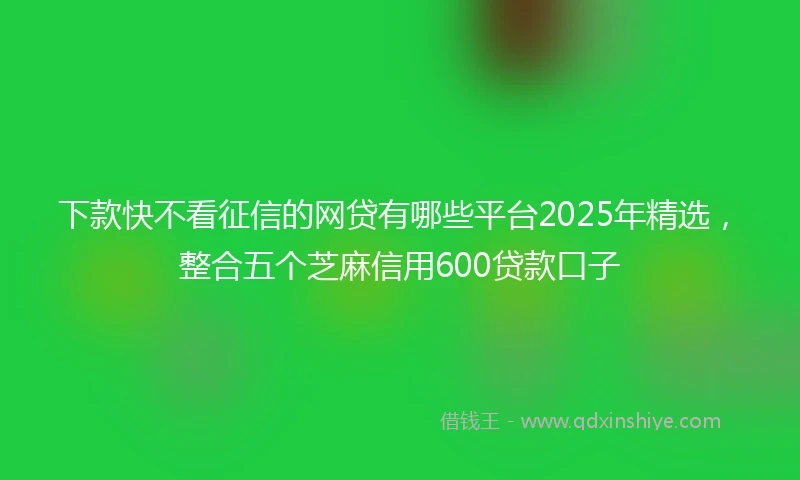 下款快不看征信的网贷有哪些平台2025年精选，整合五个芝麻信用600贷款口子