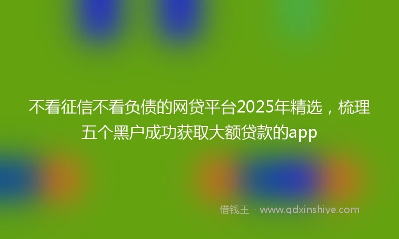 不看征信不看负债的网贷平台2025年精选,梳理五个黑户成功获取大额贷款的app