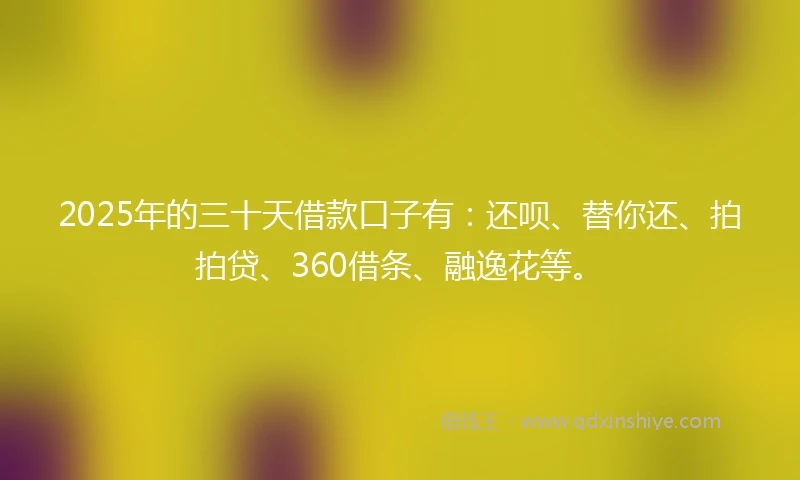 2025年的三十天借款口子有:还呗、替你还、拍拍贷、360借条、融逸花等。