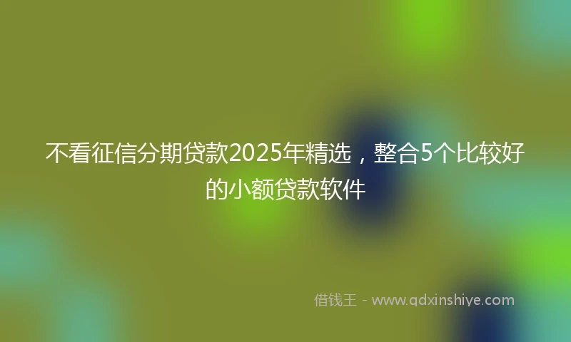 不看征信分期贷款2025年精选，整合5个比较好的小额贷款软件
