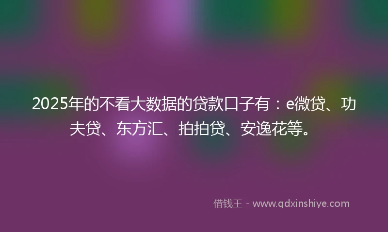 2025年的不看大数据的贷款口子有：e微贷、功夫贷、东方汇、拍拍贷、安逸花等。