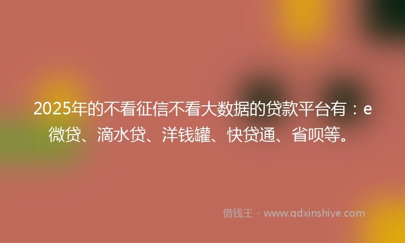 2025年的不看征信不看大数据的贷款平台有：e微贷、滴水贷、洋钱罐、快贷通、省呗等。