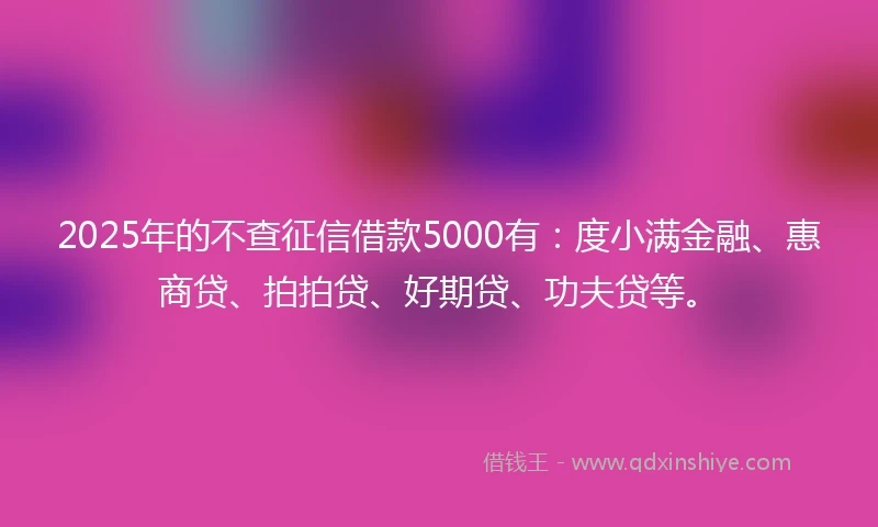 2025年的不查征信借款5000有：度小满金融、惠商贷、拍拍贷、好期贷、功夫贷等。