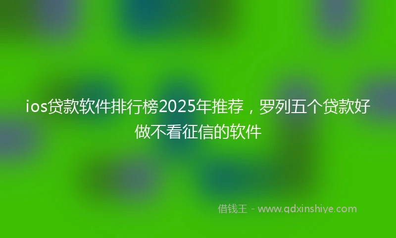 ios贷款软件排行榜2025年推荐，罗列五个贷款好做不看征信的软件