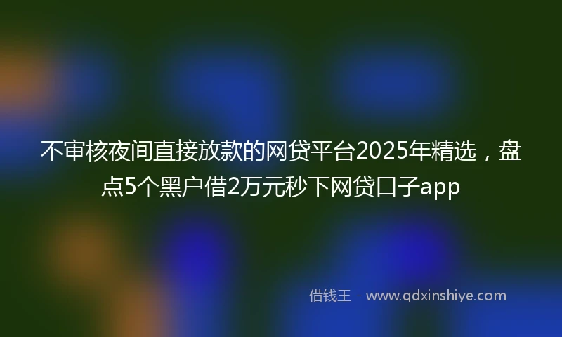不审核夜间直接放款的网贷平台2025年精选，盘点5个黑户借2万元秒下网贷口子app