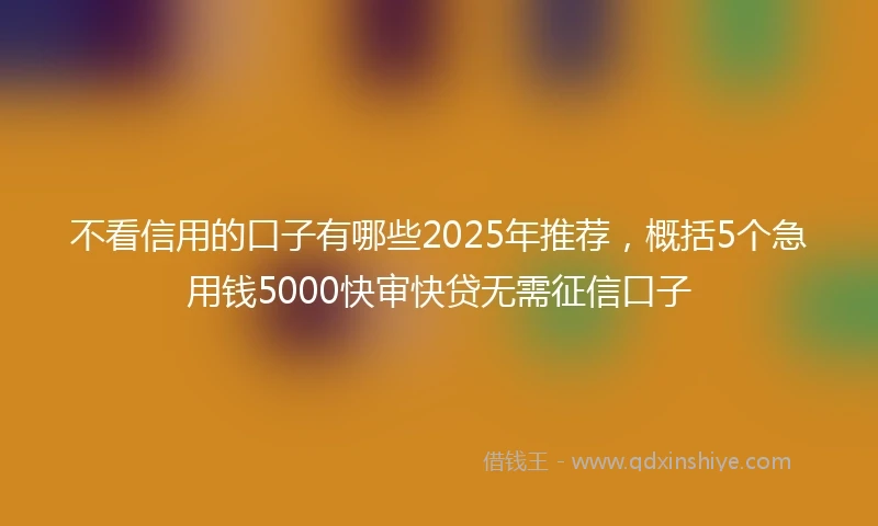 不看信用的口子有哪些2025年推荐，概括5个急用钱5000快审快贷无需征信口子