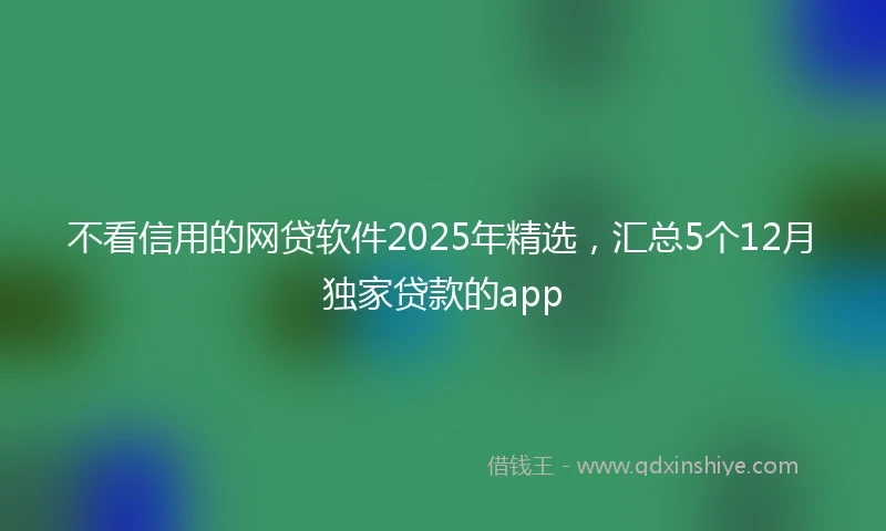 不看信用的网贷软件2025年精选，汇总5个12月独家贷款的app