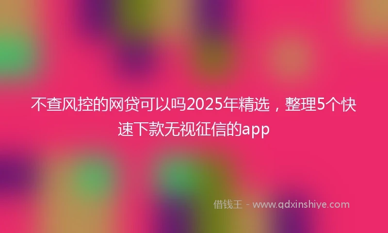 不查风控的网贷可以吗2025年精选，整理5个快速下款无视征信的app