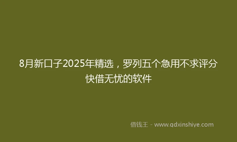 8月新口子2025年精选，罗列五个急用不求评分快借无忧的软件