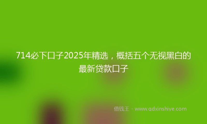 714必下口子2025年精选，概括五个无视黑白的最新贷款口子