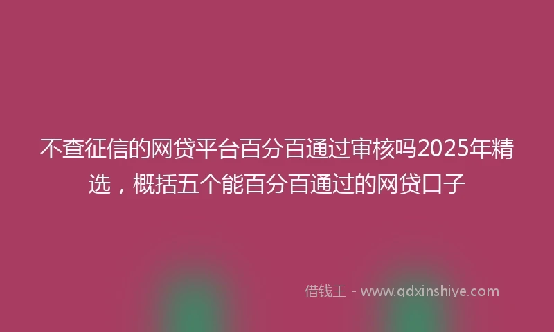 不查征信的网贷平台百分百通过审核吗2025年精选，概括五个能百分百通过的网贷口子
